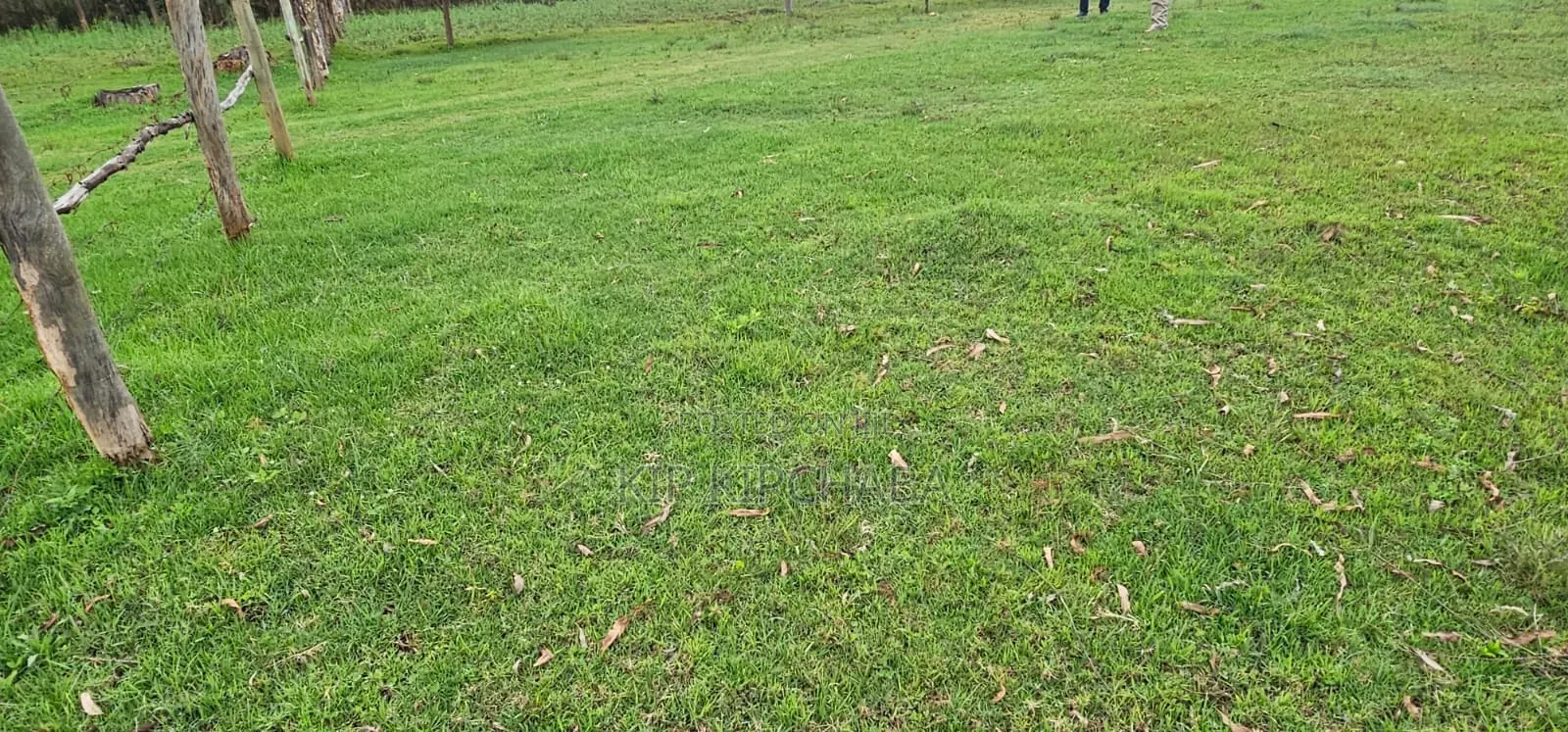 Commercial 1⁄4 Plot for Sale in Annex Bethel Eldoret in Racecourse