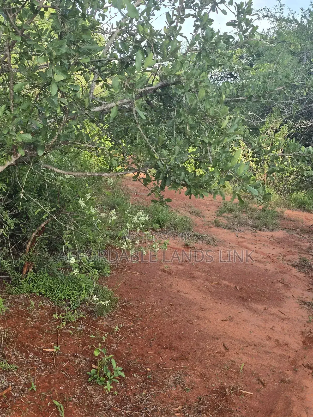 10,000 Acres on Sale at Mutomo in Kikumbulyu North