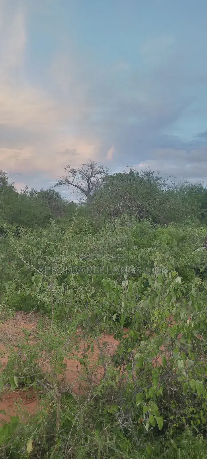 10,000 Acres on Sale at Mutomo in Kikumbulyu North