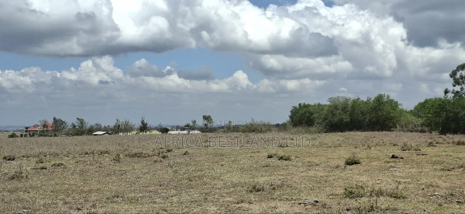 1.25 Acres Available Land for Sale Rongai Tuala in Oloosirkon/Sholinke