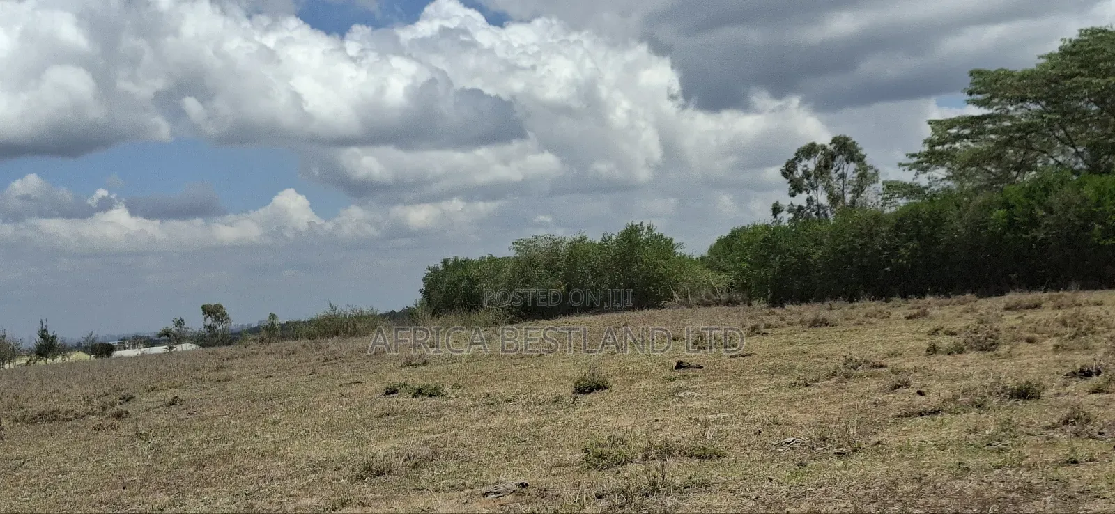 1.25 Acres Available Land for Sale Rongai Tuala in Oloosirkon/Sholinke