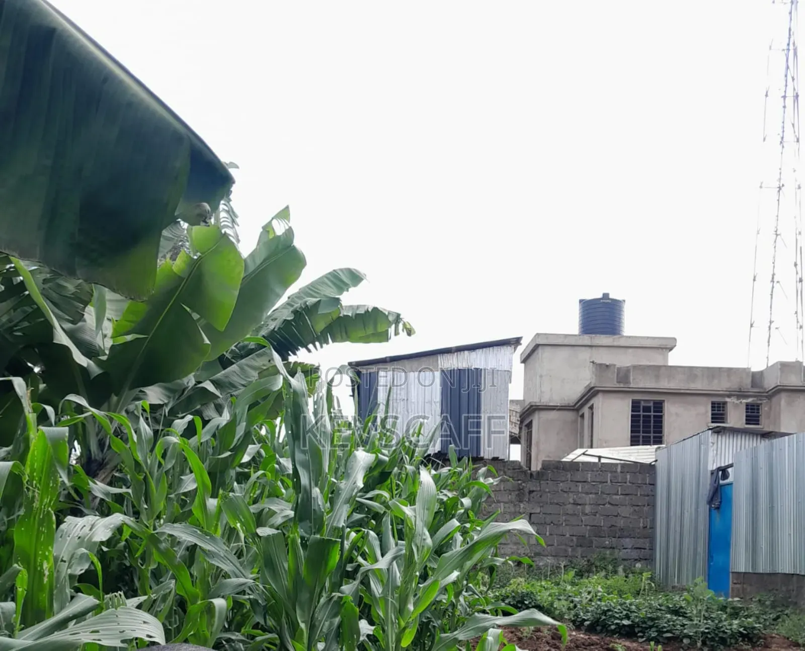 4bdrm House in Kiambu / Kiambu for sale in Kiambu / Kiambu