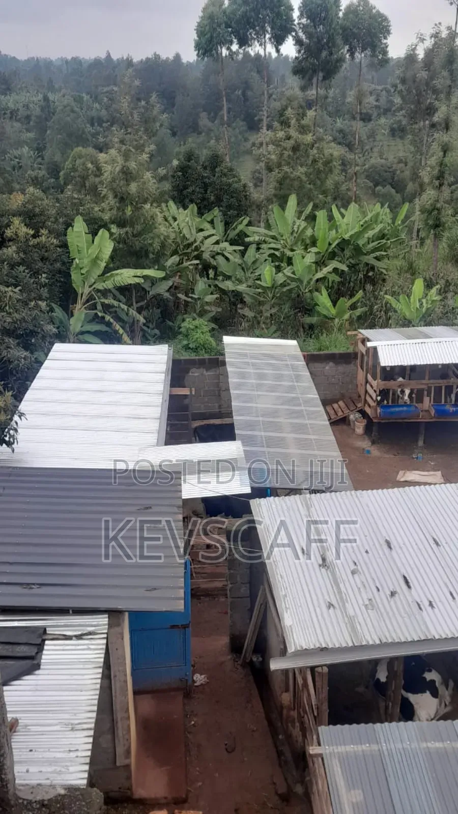 4bdrm House in Kiambu / Kiambu for sale in Kiambu / Kiambu