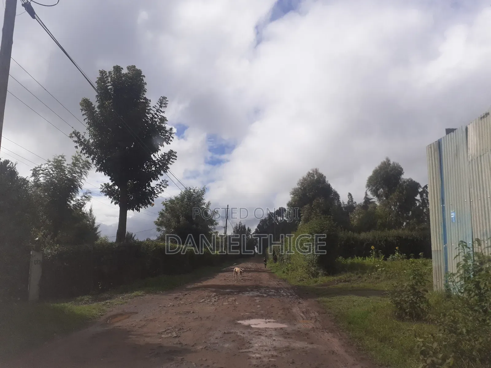 50 by 100 Plot in Kamangu Kikuyu 700 Meters to Kamandura-Gikambura Rd in Karai
