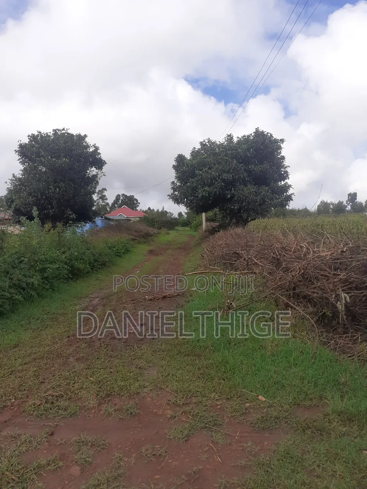 50 by 100 Plot in Kamangu Kikuyu 700 Meters to Kamandura-Gikambura Rd in Karai