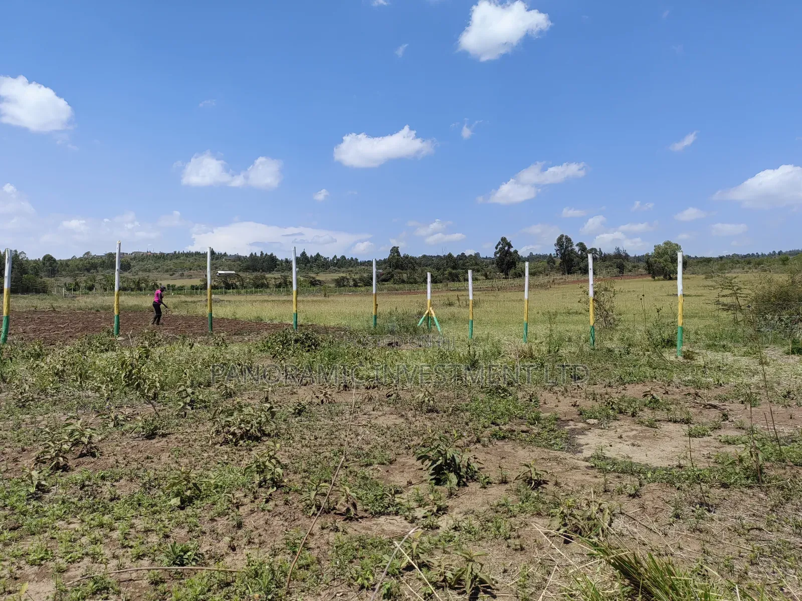 50x100 Plots for Sale in Nachu Ndacha Kikuyu Kiambu County. in Kikuyu