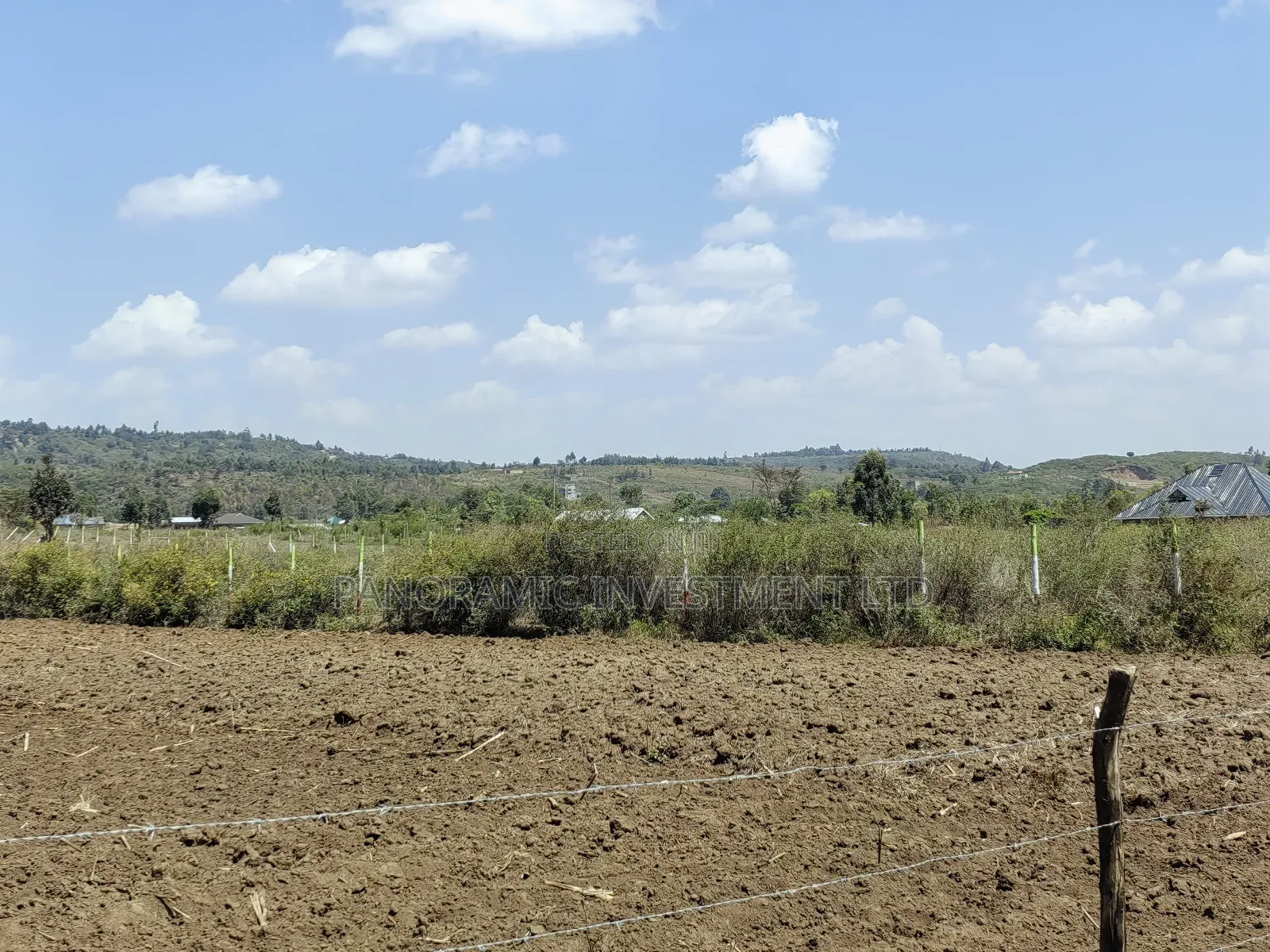 50x100 Plots for Sale in Nachu Ndacha Kikuyu Kiambu County. in Kikuyu