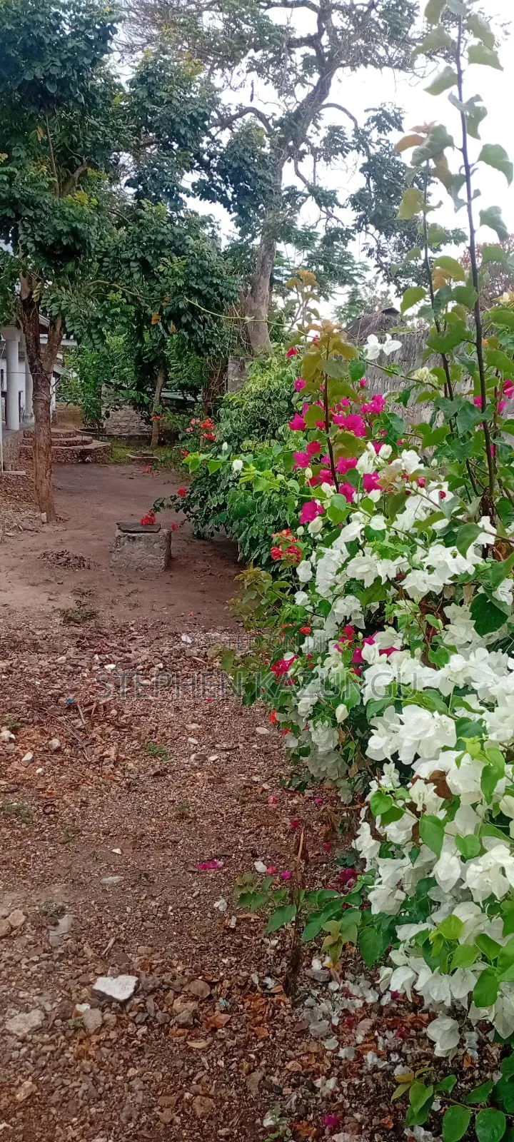 Furnished 4bdrm House in Galu Beach Zone, Ukunda for sale in Ukunda