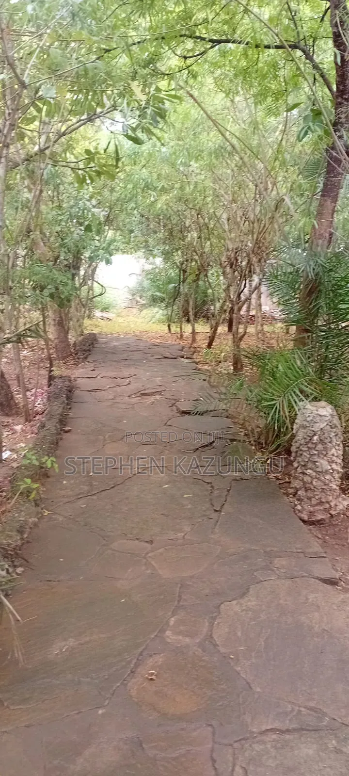 Galu Beach 3/4 Acre Plot Size With Houses, 3 Minutes to the Beach. in Ukunda