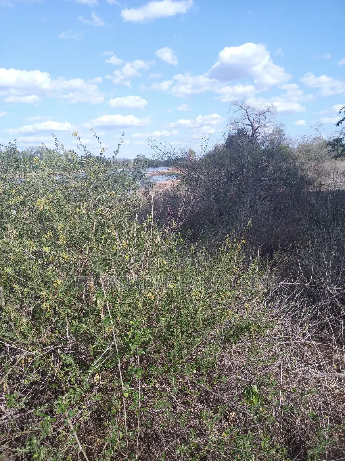 75acres Touching the River Athi at Kibwezi in Masongaleni
