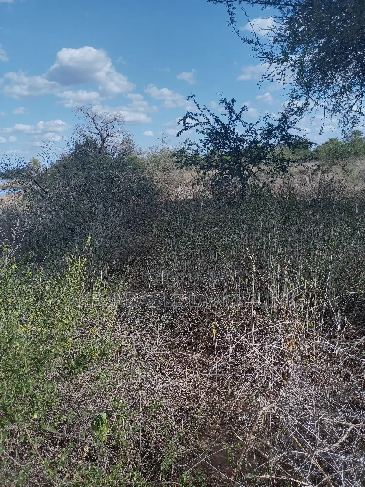 75acres Touching the River Athi at Kibwezi in Masongaleni