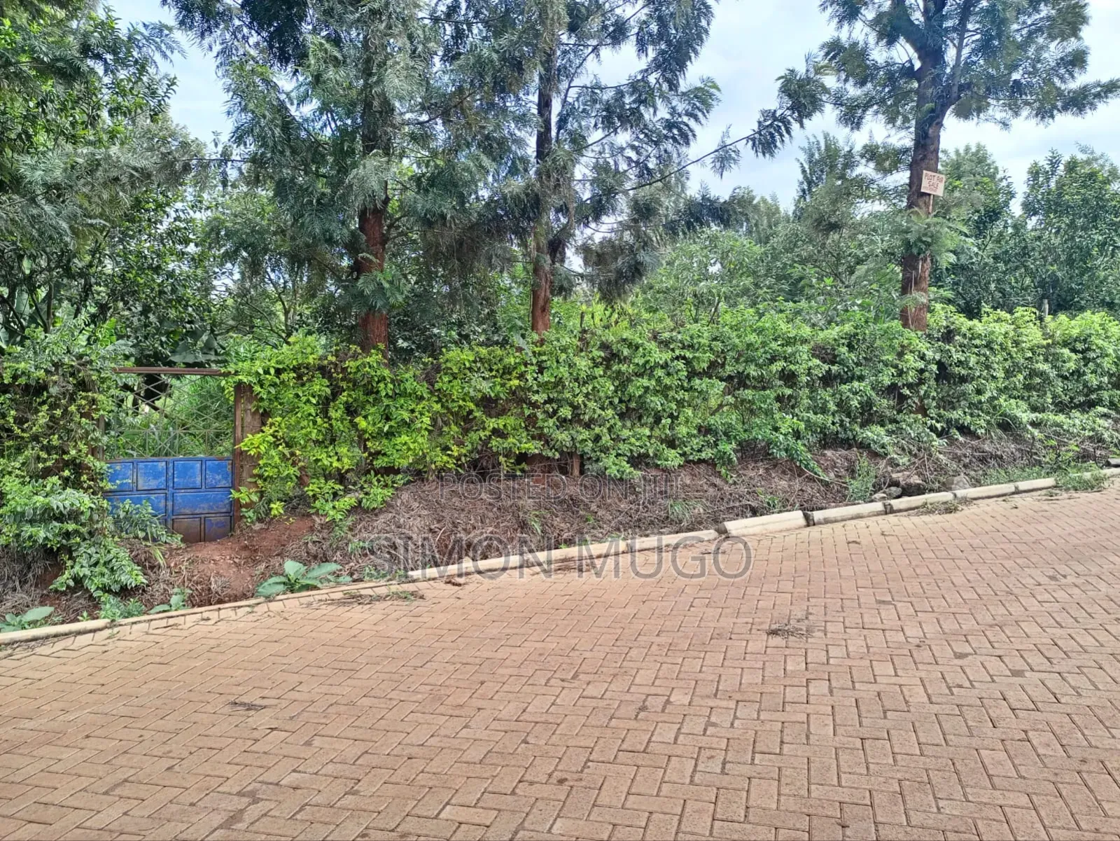 Kiu Kenda Estate Chui Court Prime Residential Fully Serviced 1acre in Kiambu / Kiambu 