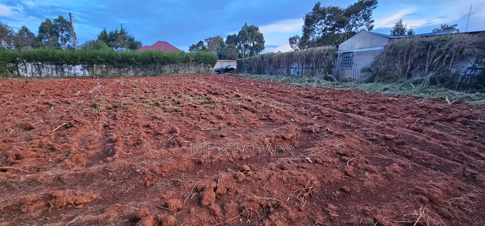 Prime 1⁄4 Plot for Sale in Chepkanga Eldoret in Kimumu