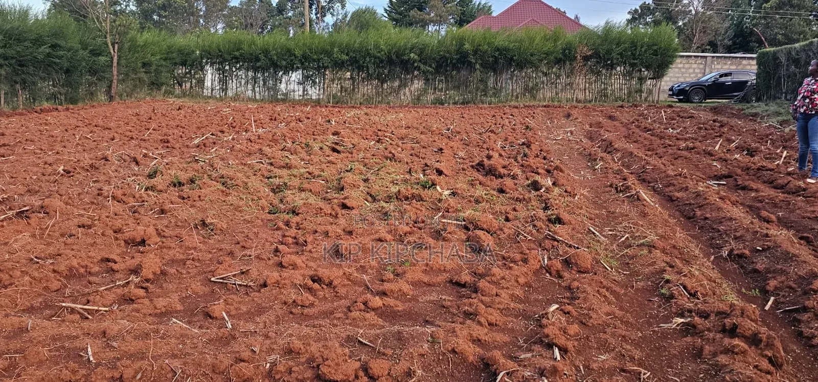 Prime 1⁄4 Plot for Sale in Chepkanga Eldoret in Kimumu