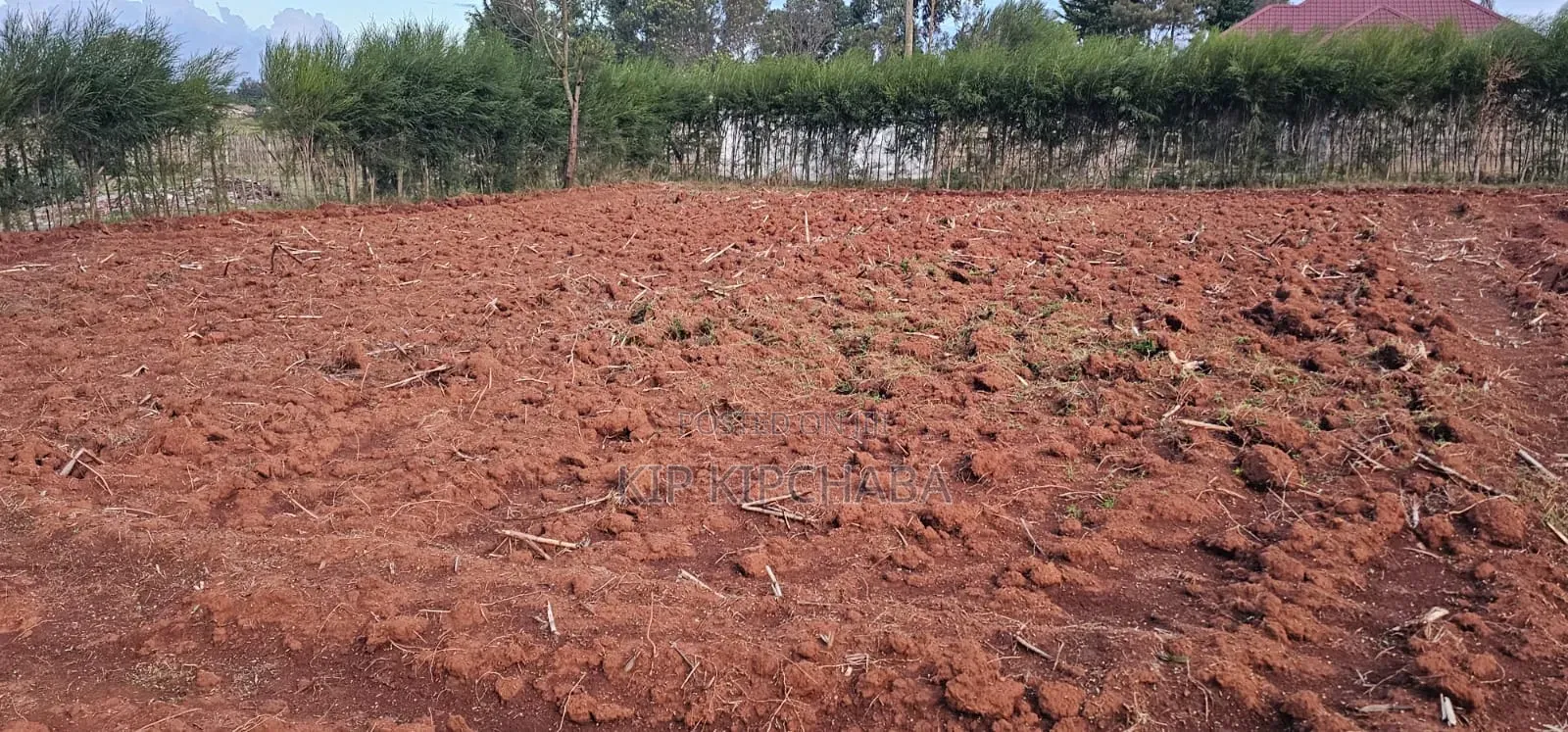 Prime 1⁄4 Plot for Sale in Chepkanga Eldoret in Kimumu