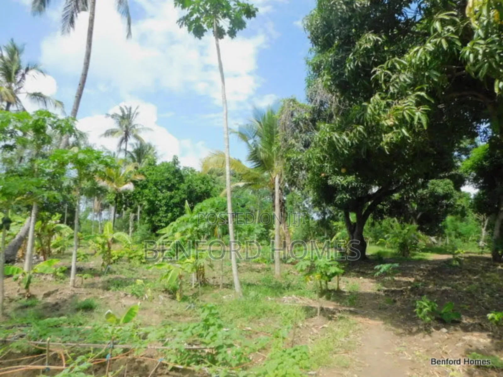 2 Acres Prime Land on Sale Kikambala Kwa Kazengo in Kikambala