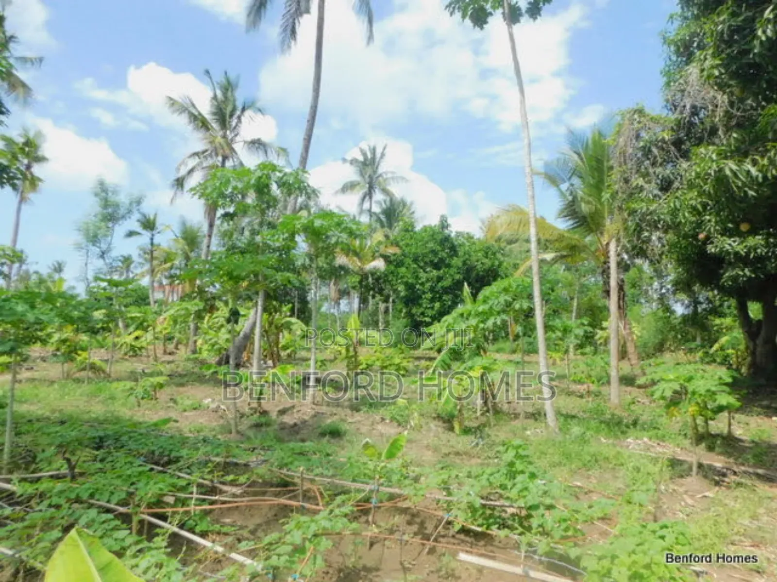 2 Acres Prime Land on Sale Kikambala Kwa Kazengo in Kikambala
