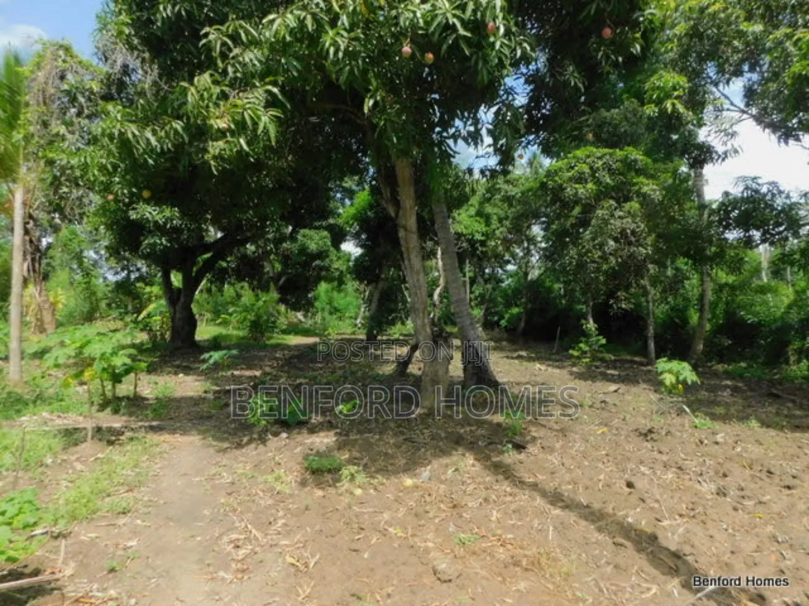 2 Acres Prime Land on Sale Kikambala Kwa Kazengo in Kikambala