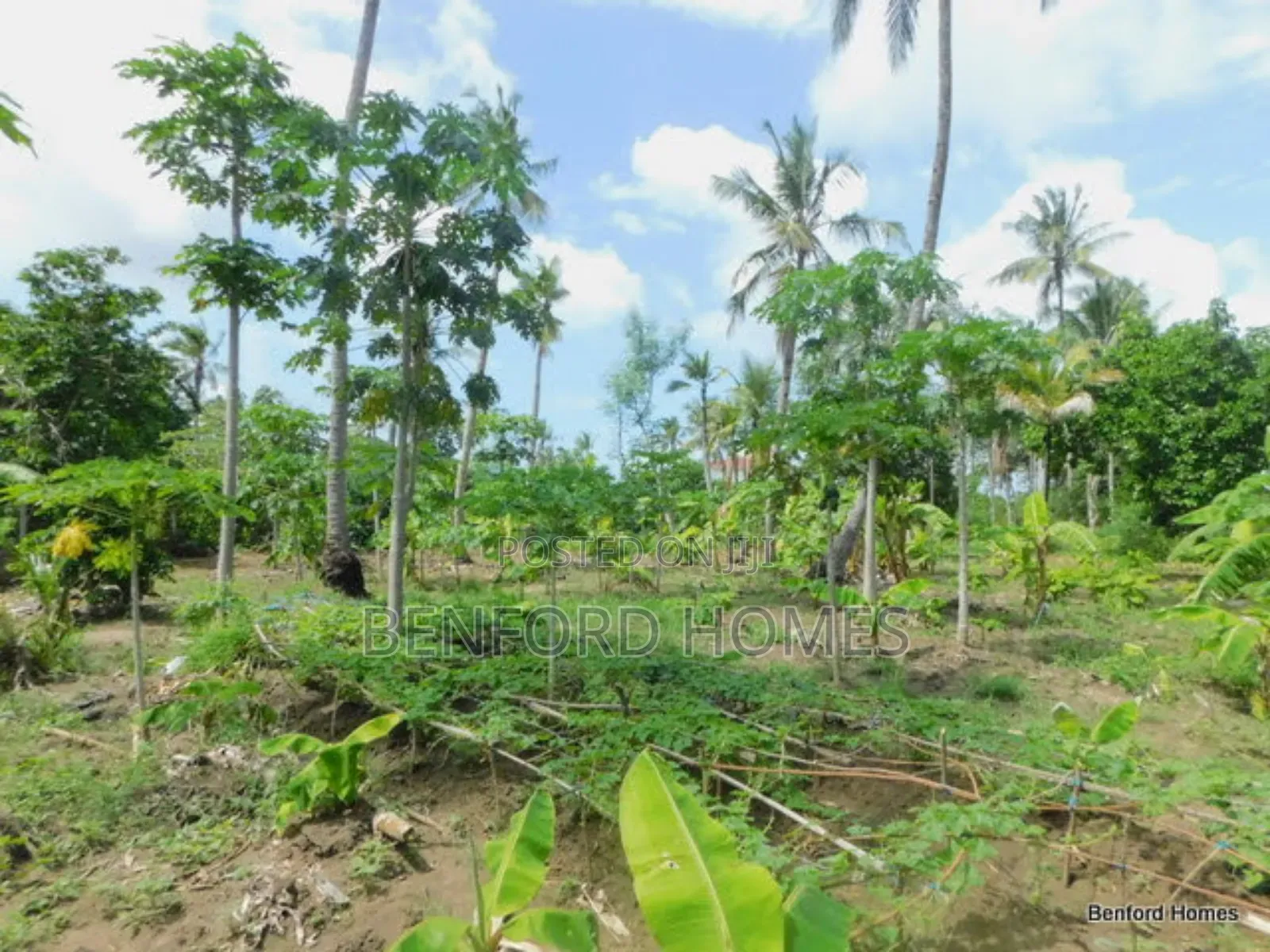 2 Acres Prime Land on Sale Kikambala Kwa Kazengo in Kikambala