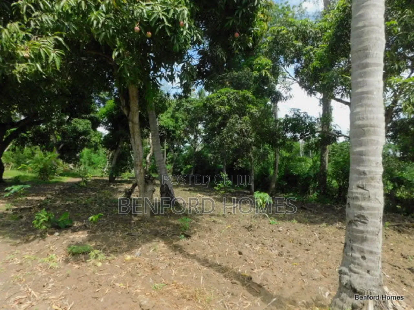 2 Acres Prime Land on Sale Kikambala Kwa Kazengo in Kikambala