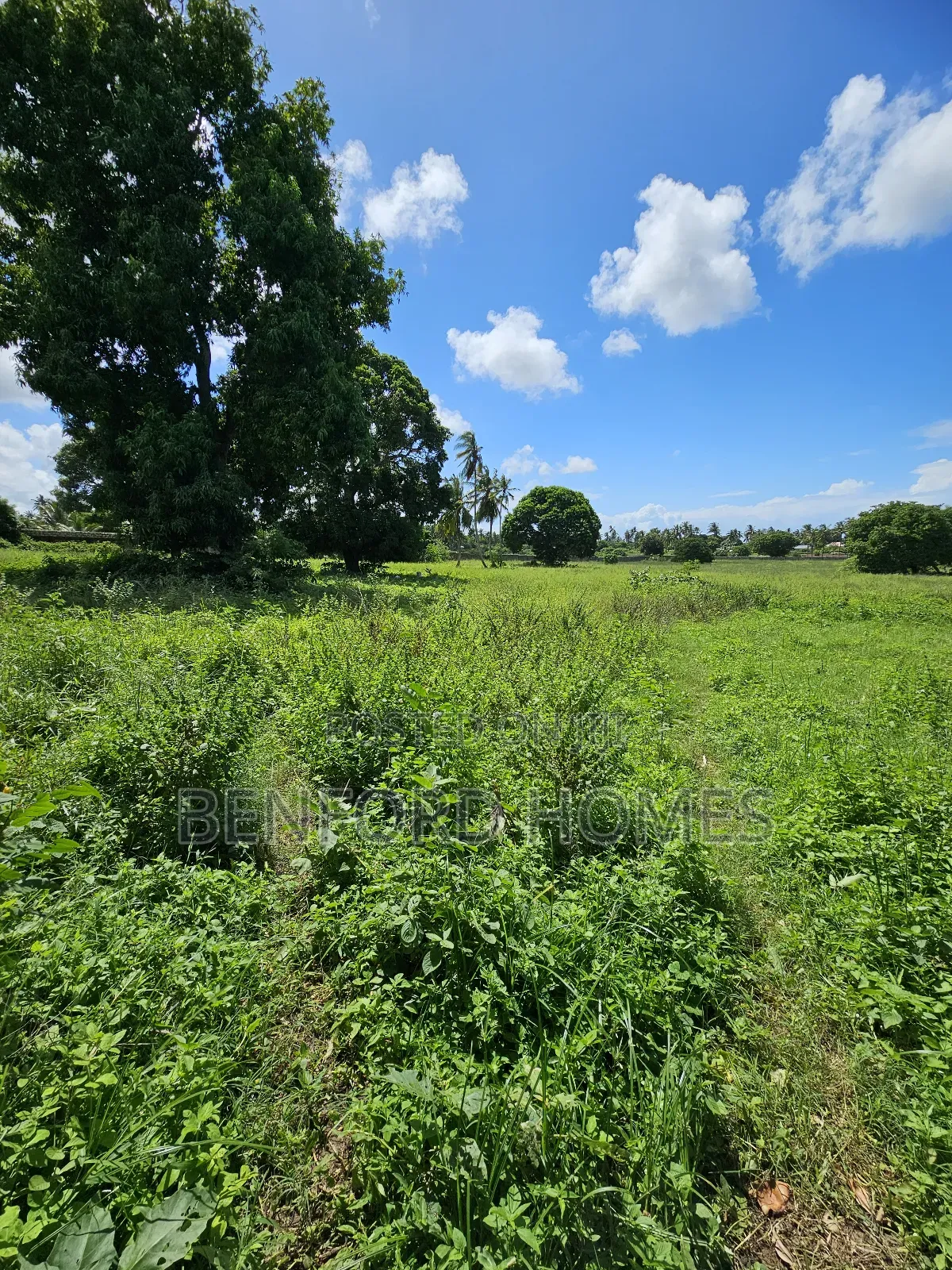5 Acres of Land With a Perimeter Wall Fence on Sale Kikambala Bomani in Kikambala