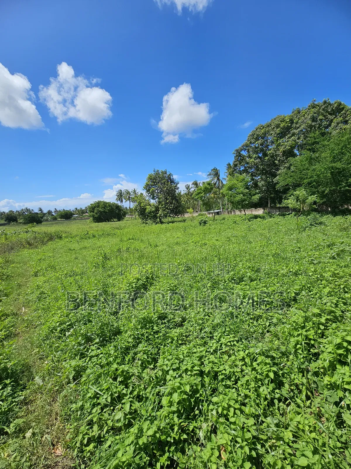 5 Acres of Land With a Perimeter Wall Fence on Sale Kikambala Bomani in Kikambala