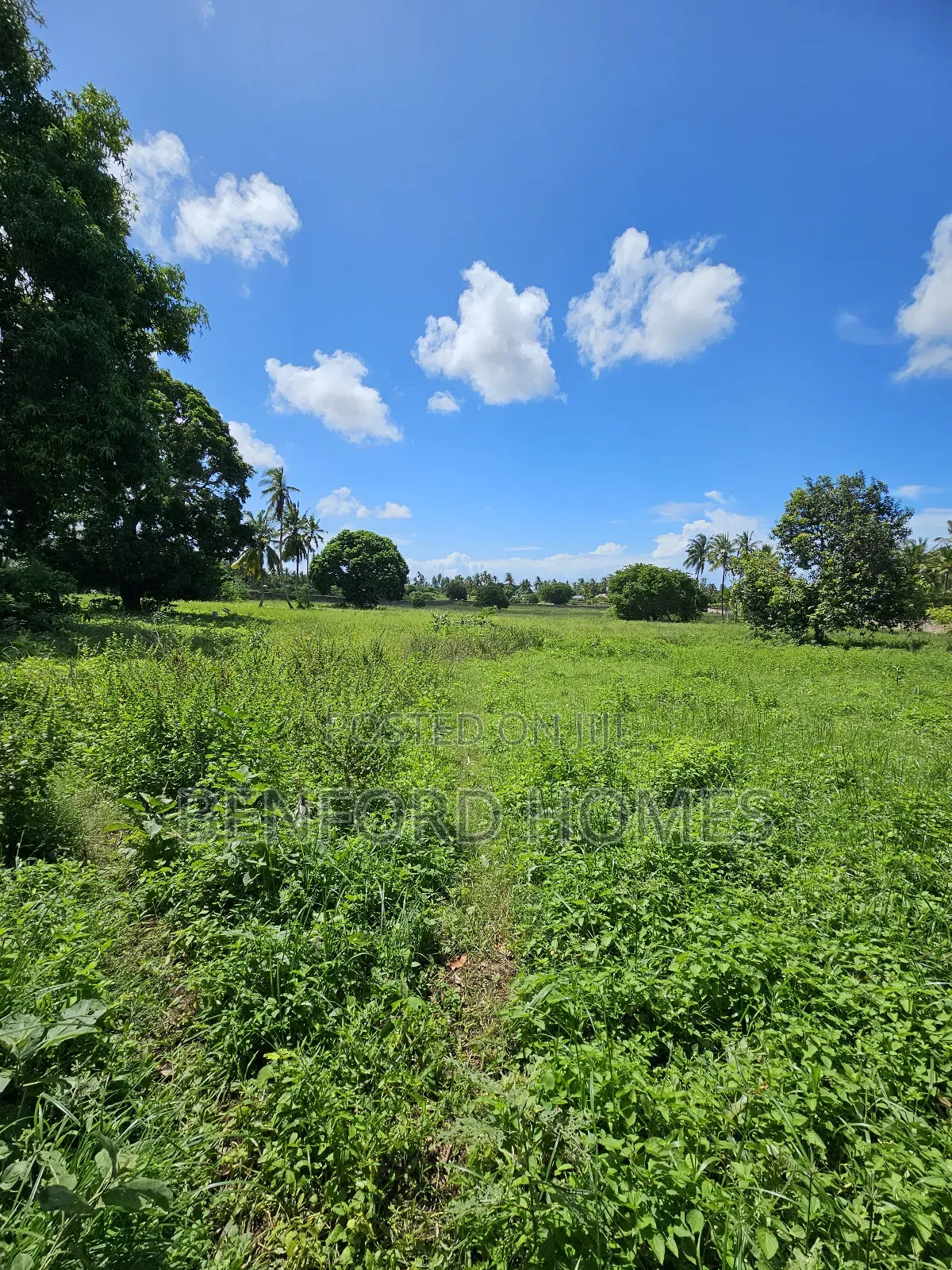 5 Acres of Land With a Perimeter Wall Fence on Sale Kikambala Bomani in Kikambala