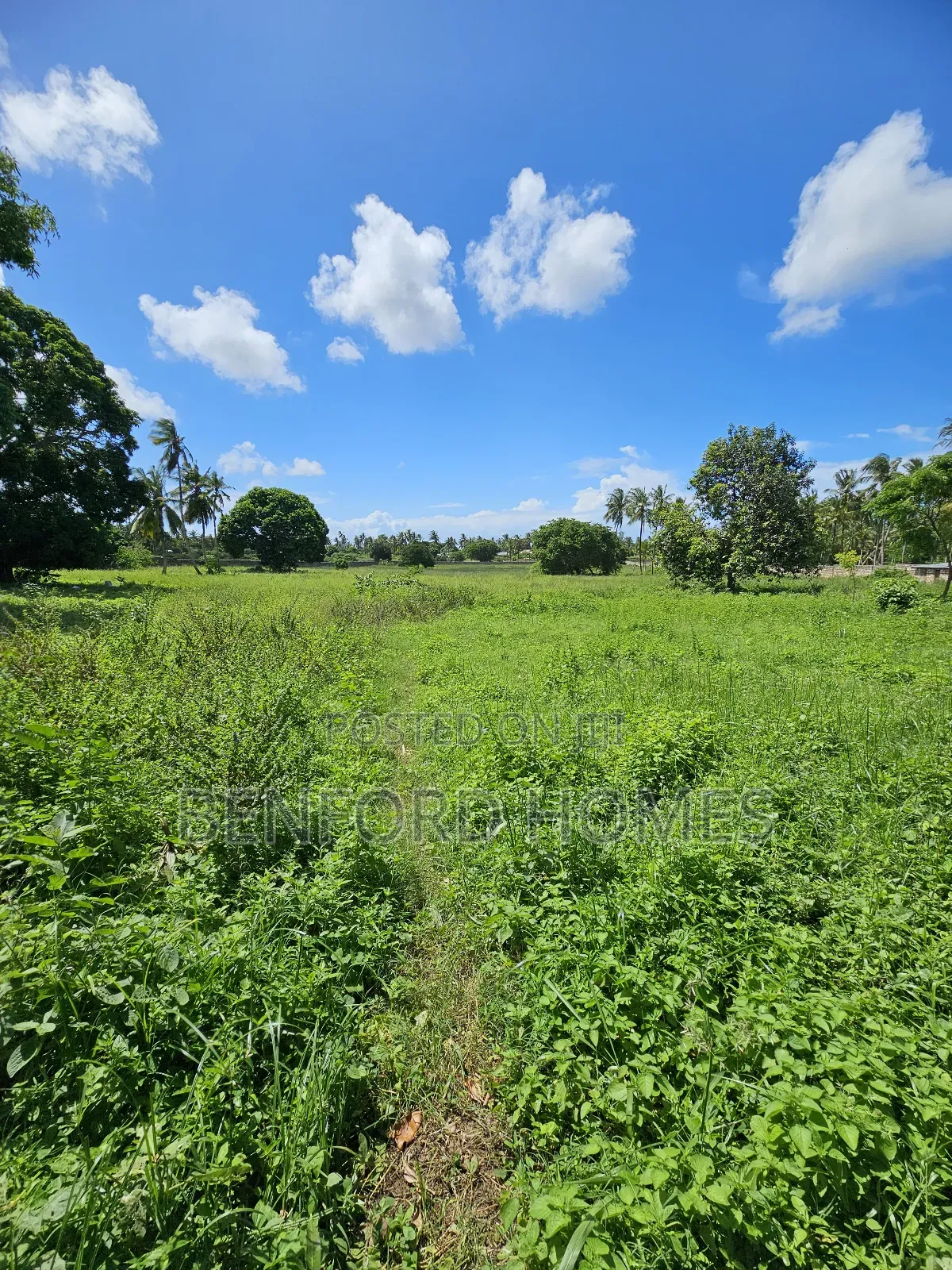 5 Acres of Land With a Perimeter Wall Fence on Sale Kikambala Bomani in Kikambala