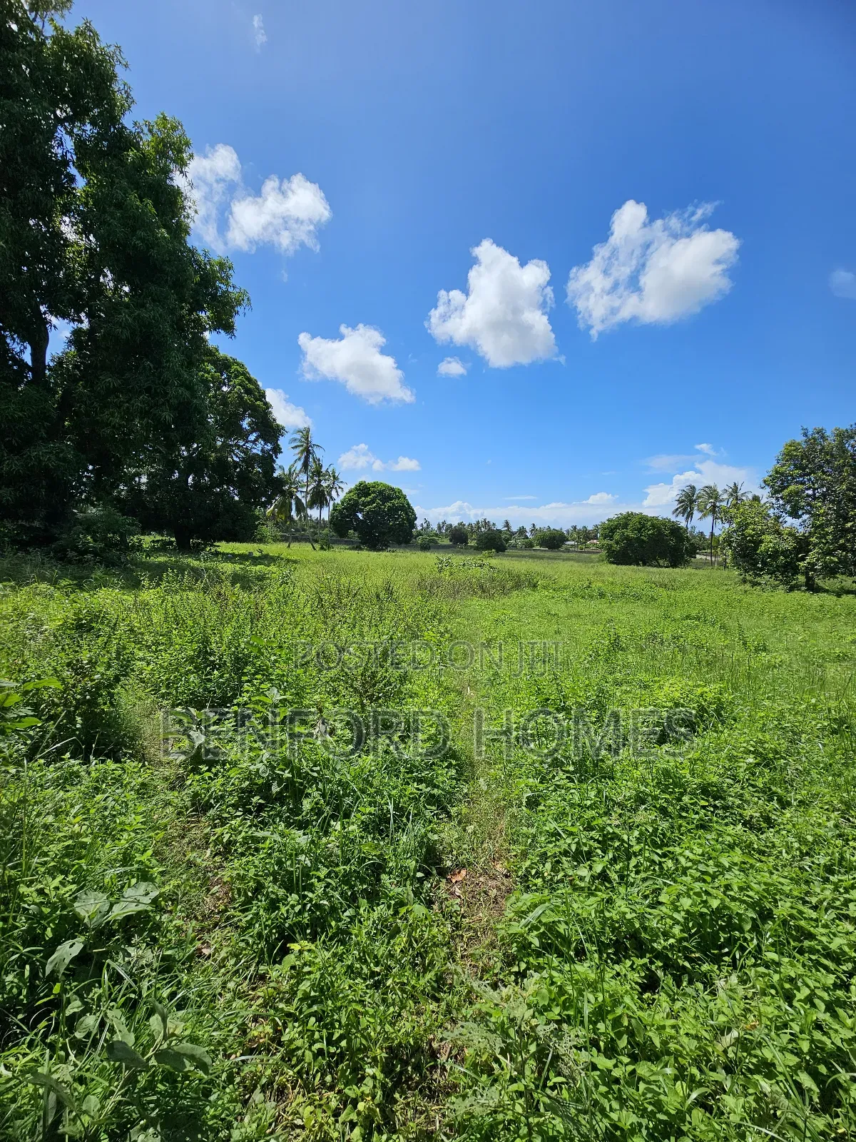 5 Acres of Land With a Perimeter Wall Fence on Sale Kikambala Bomani in Kikambala