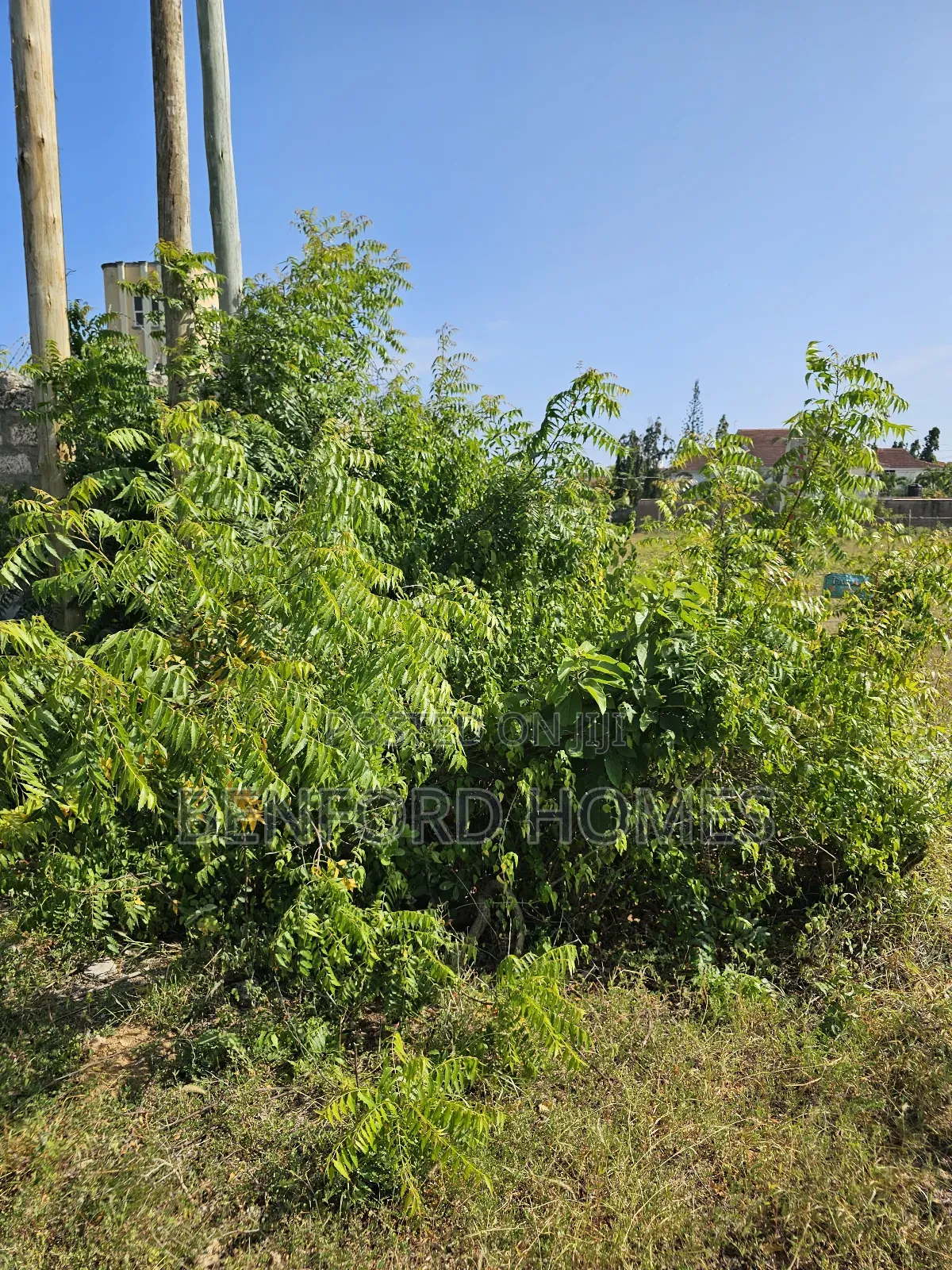 Quarter Acre Piece of Land With Perimeter Wall Fence on Sale Shanzu in Shanzu
