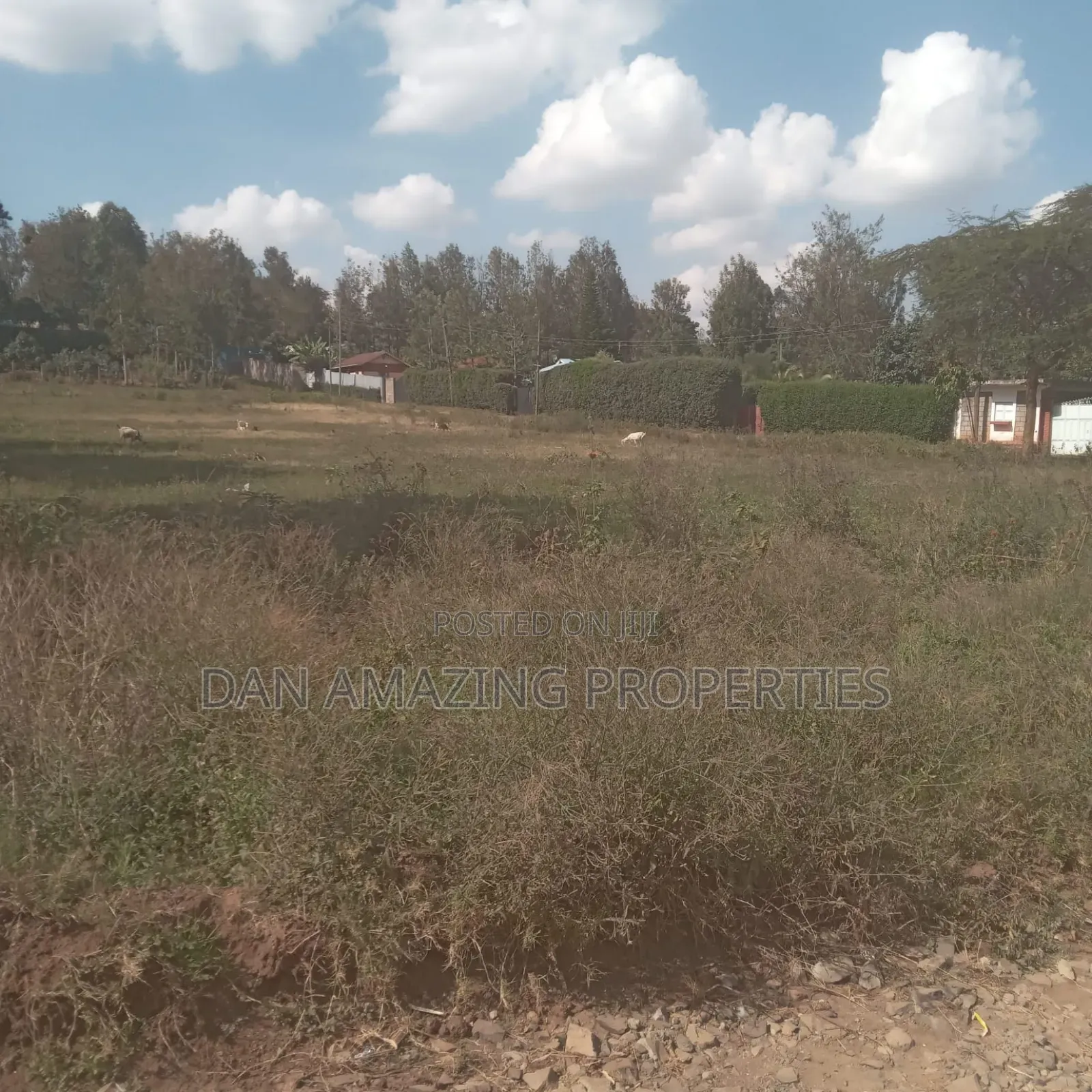 3 Plots of 50 by 100 Ngong Ololua for Sale as a Block With One Title in Matasia