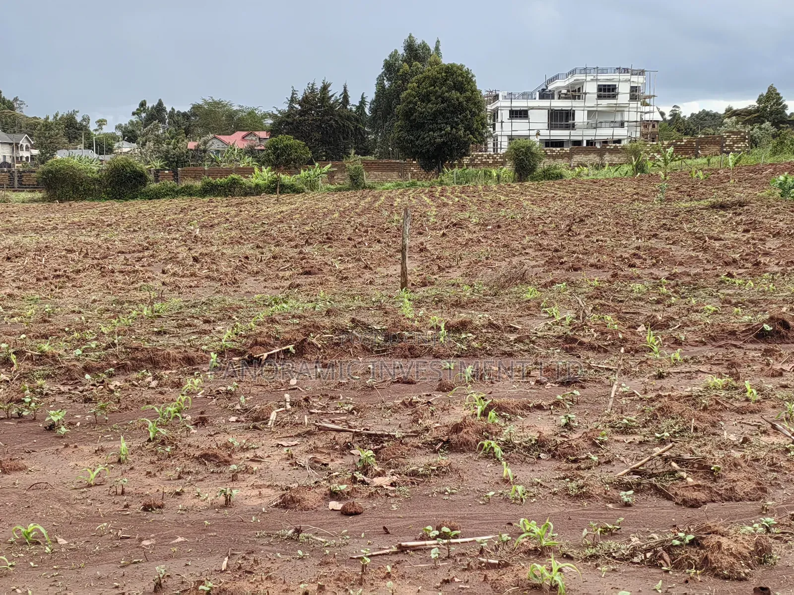 Quarter Acre for Sale in Gikambura Kikuyu Kiambu County. in Kikuyu