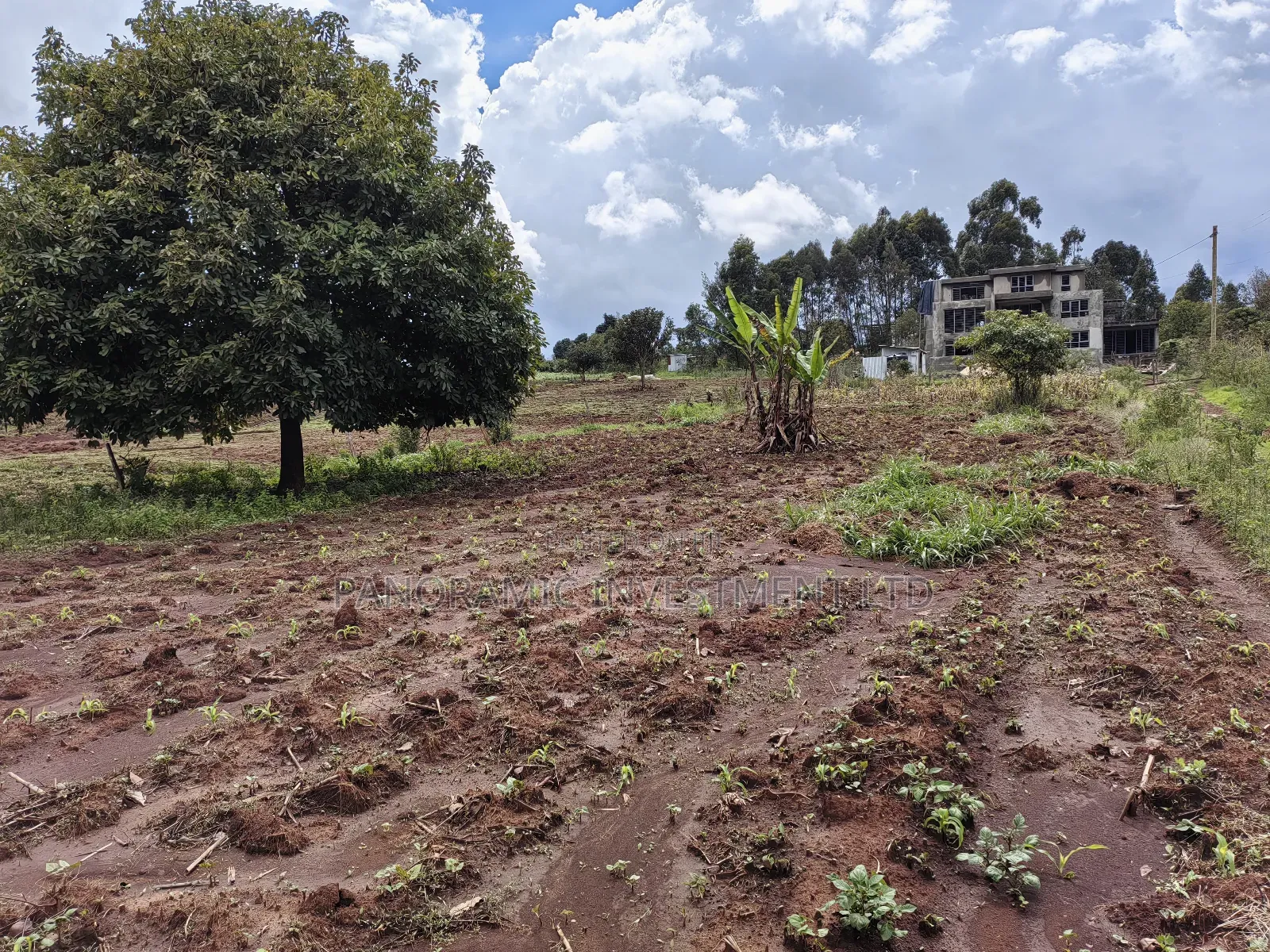 Quarter Acre for Sale in Gikambura Kikuyu Kiambu County. in Kikuyu