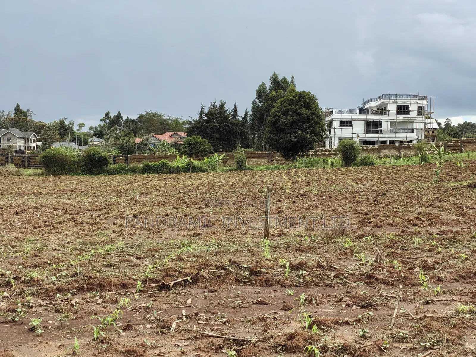 Quarter Acre for Sale in Gikambura Kikuyu Kiambu County. in Kikuyu
