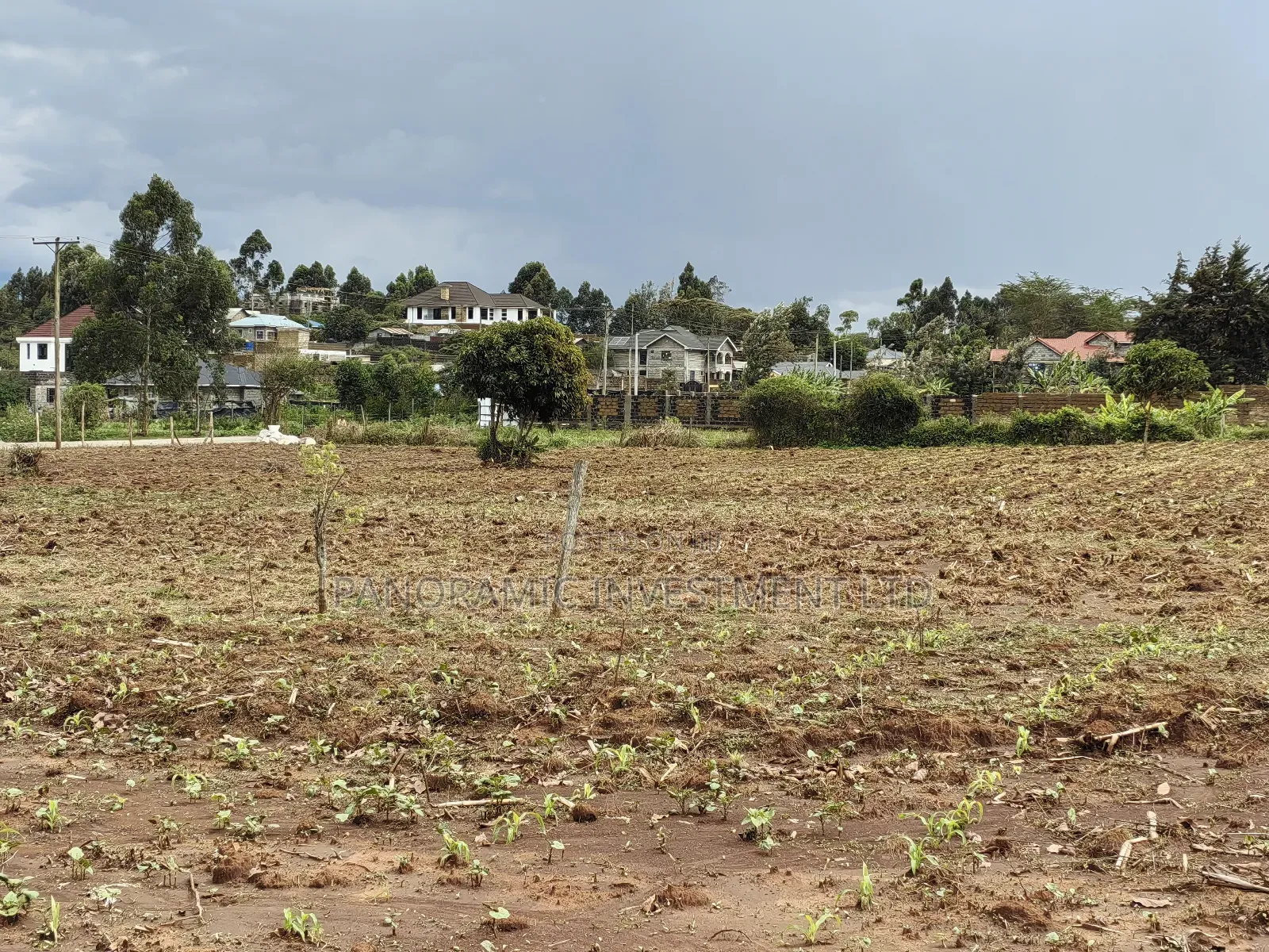 Quarter Acre for Sale in Gikambura Kikuyu Kiambu County. in Kikuyu