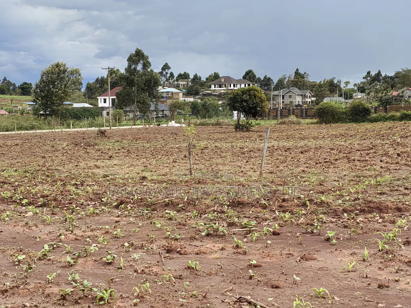 Quarter Acre for Sale in Gikambura Kikuyu Kiambu County. in Kikuyu
