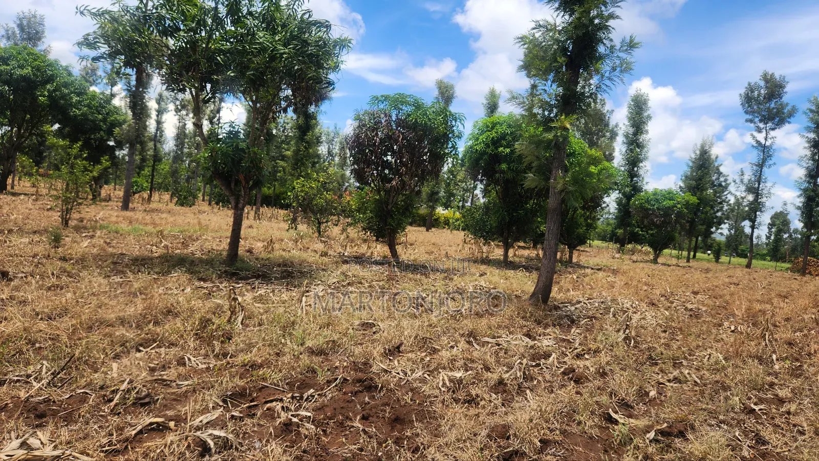 2 Acres Makutano [ Sagana] in Makutano