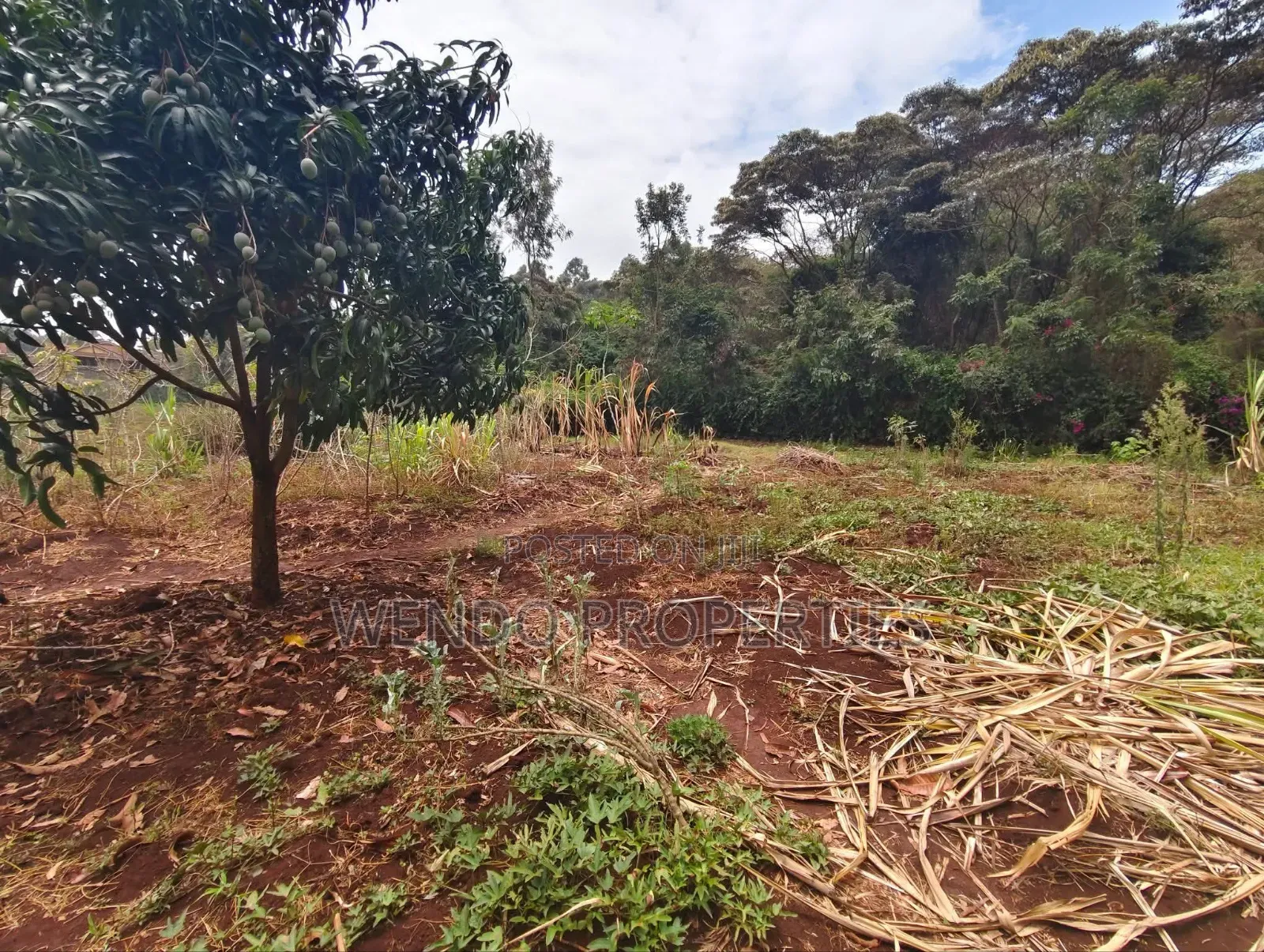 Quarter Acre in Karen C