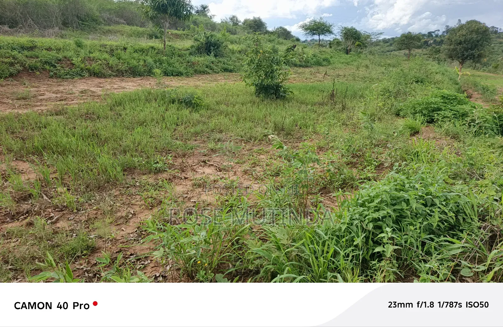 1acre at Mukamukuu in Tala