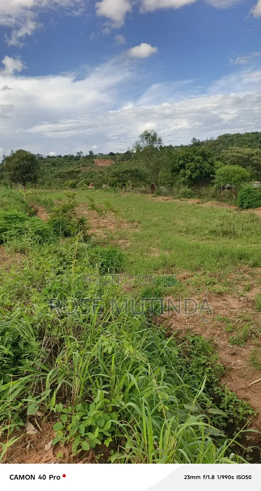 1acre at Mukamukuu in Tala