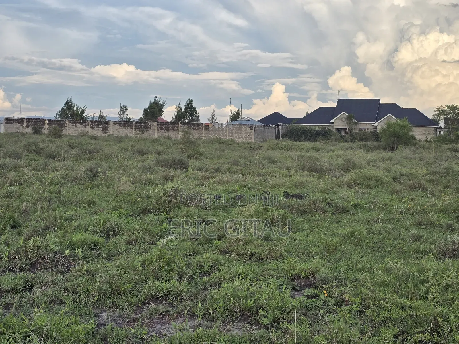1.5 Acres Land in Kitengela Acacia - Great Investment Opportunity in Kitengela