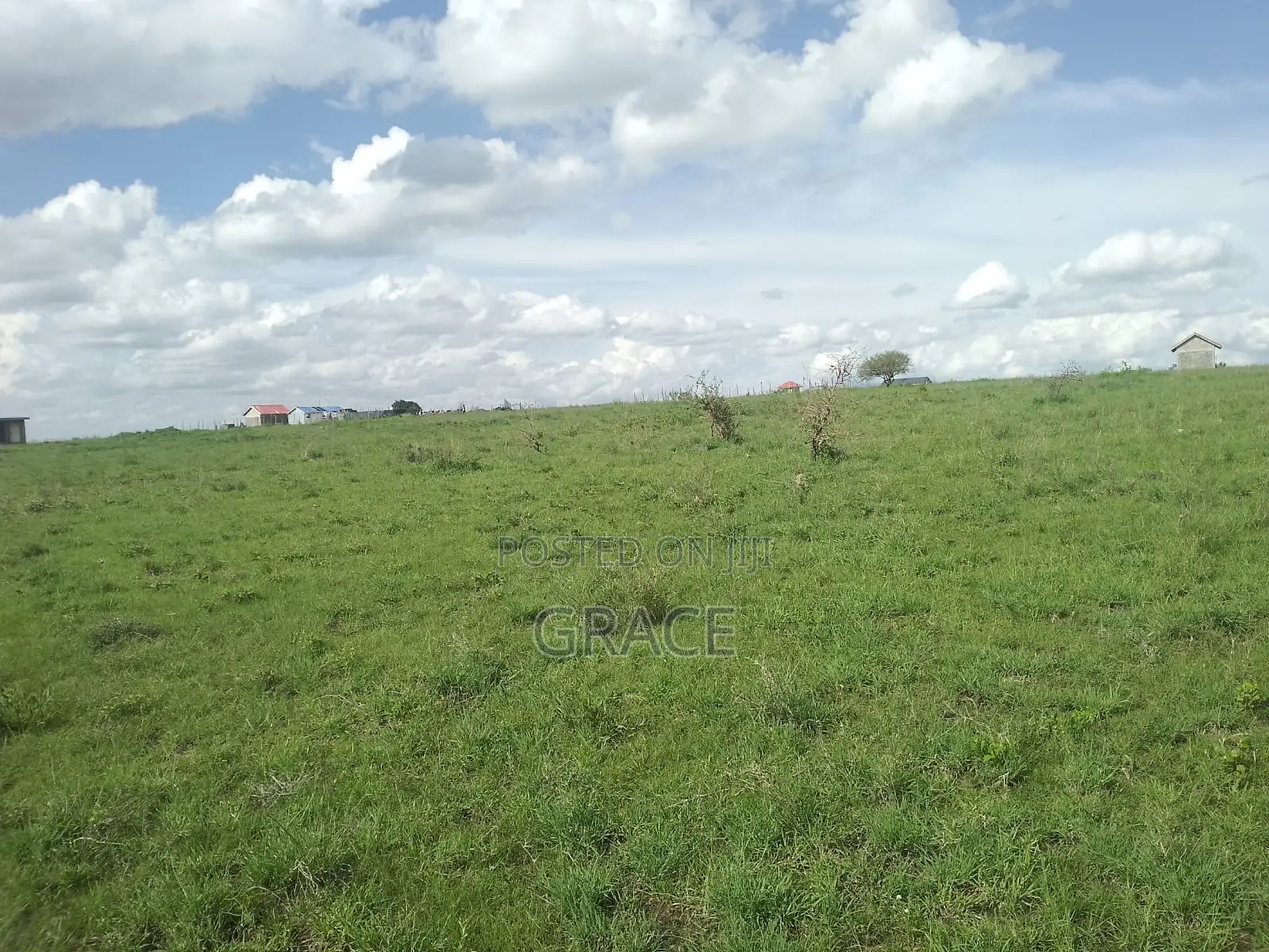 Prime 1/8 Acre Plots for Sale in Joska – Ready Title Deeds in Kangundo East
