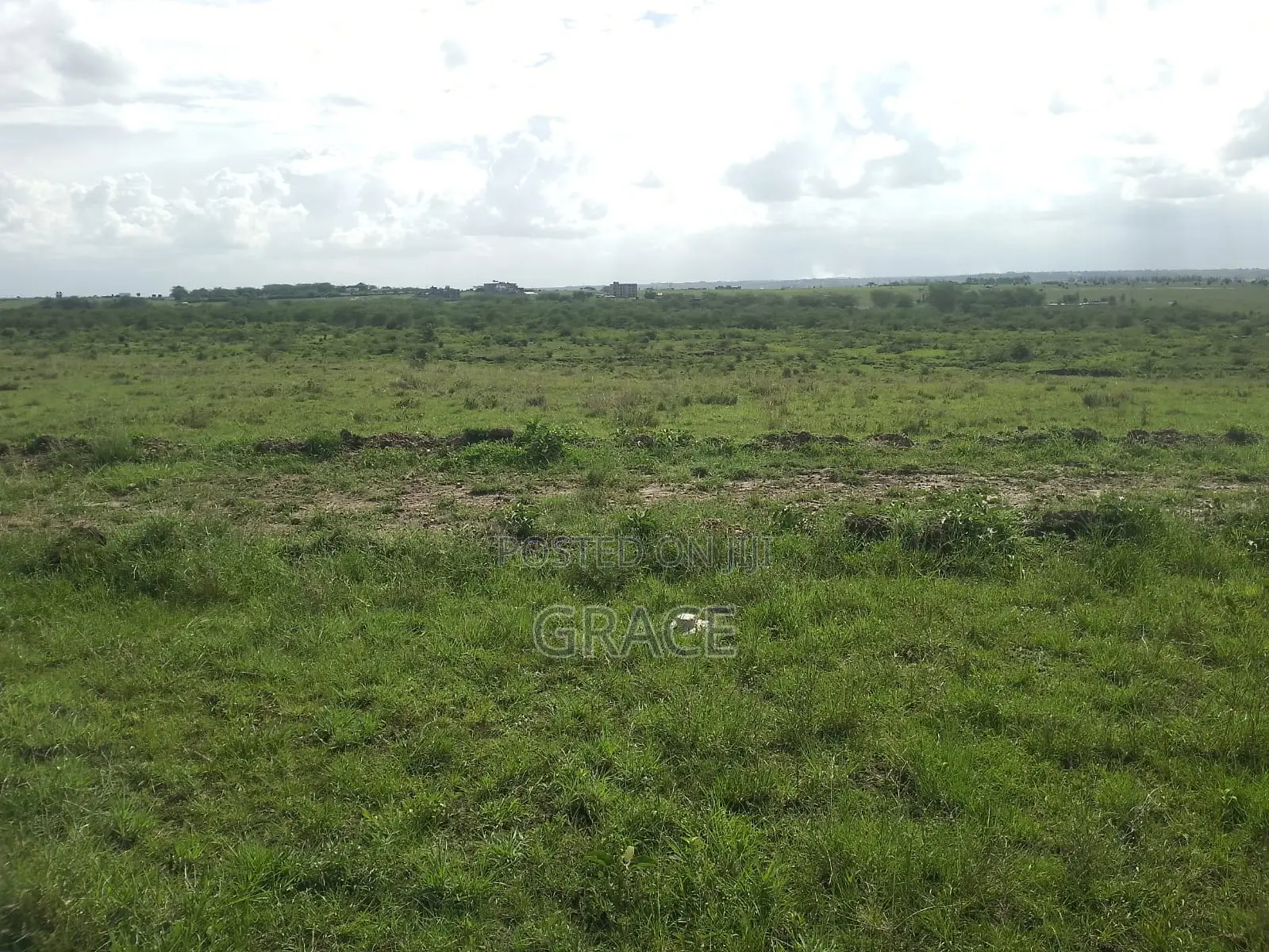 Prime 1/8 Acre Plots for Sale in Joska – Ready Title Deeds in Kangundo East