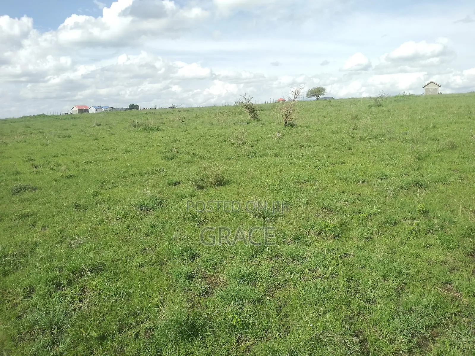 Prime 1/8 Acre Plots for Sale in Joska – Ready Title Deeds in Kangundo East