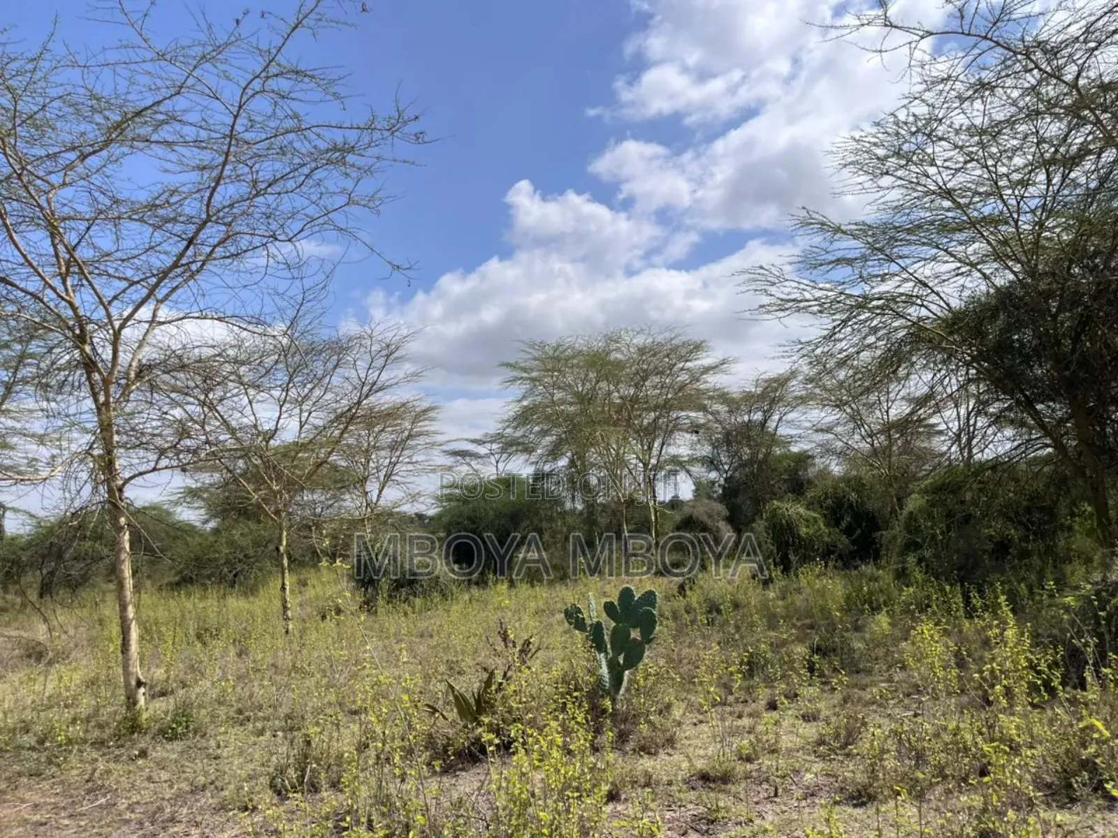 10 Acres Land for Sale in Mavoko in Kinanie
