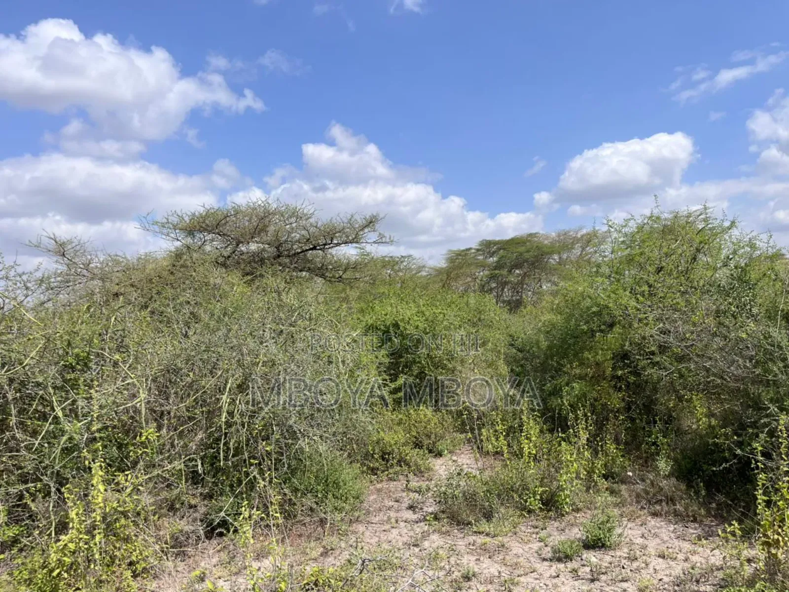10 Acres Land for Sale in Mavoko in Kinanie
