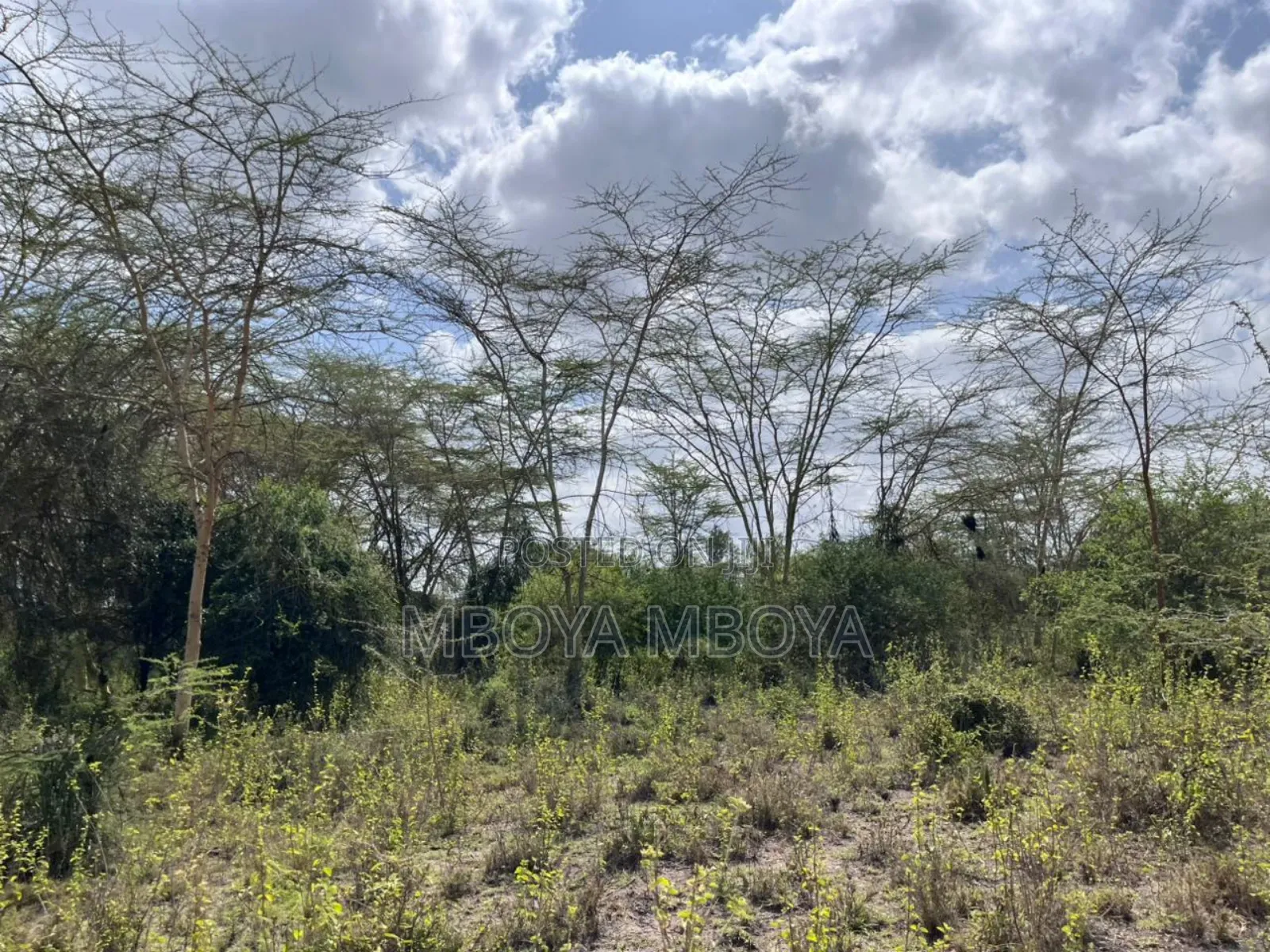 Prime 22.5acres Land in Lukenya in Lukenya