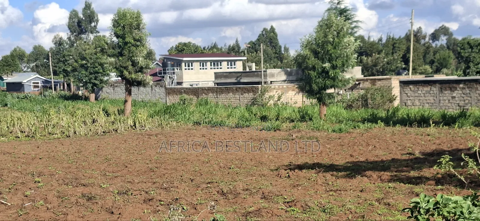 100x100 Available Residential Plot in Kikuyu Ng'amba in Karai