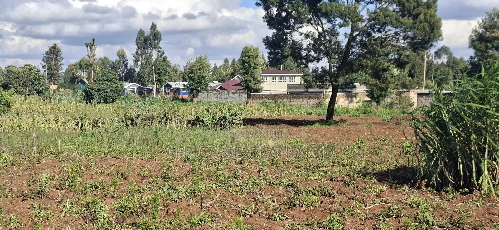 100x100 Available Residential Plot in Kikuyu Ng'amba in Karai