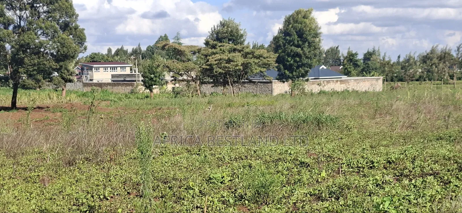 100x100 Available Residential Plot in Kikuyu Ng'amba in Karai